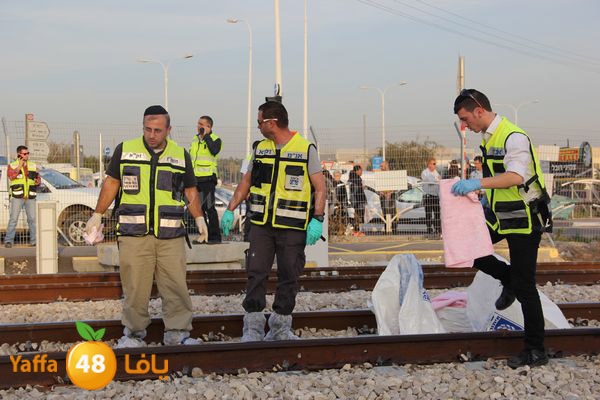 dahs lud 01121 (18).JPG